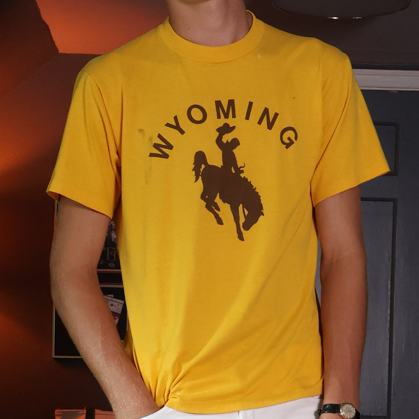 University of Wyoming Cowboys T-Shirt 90s (Large)