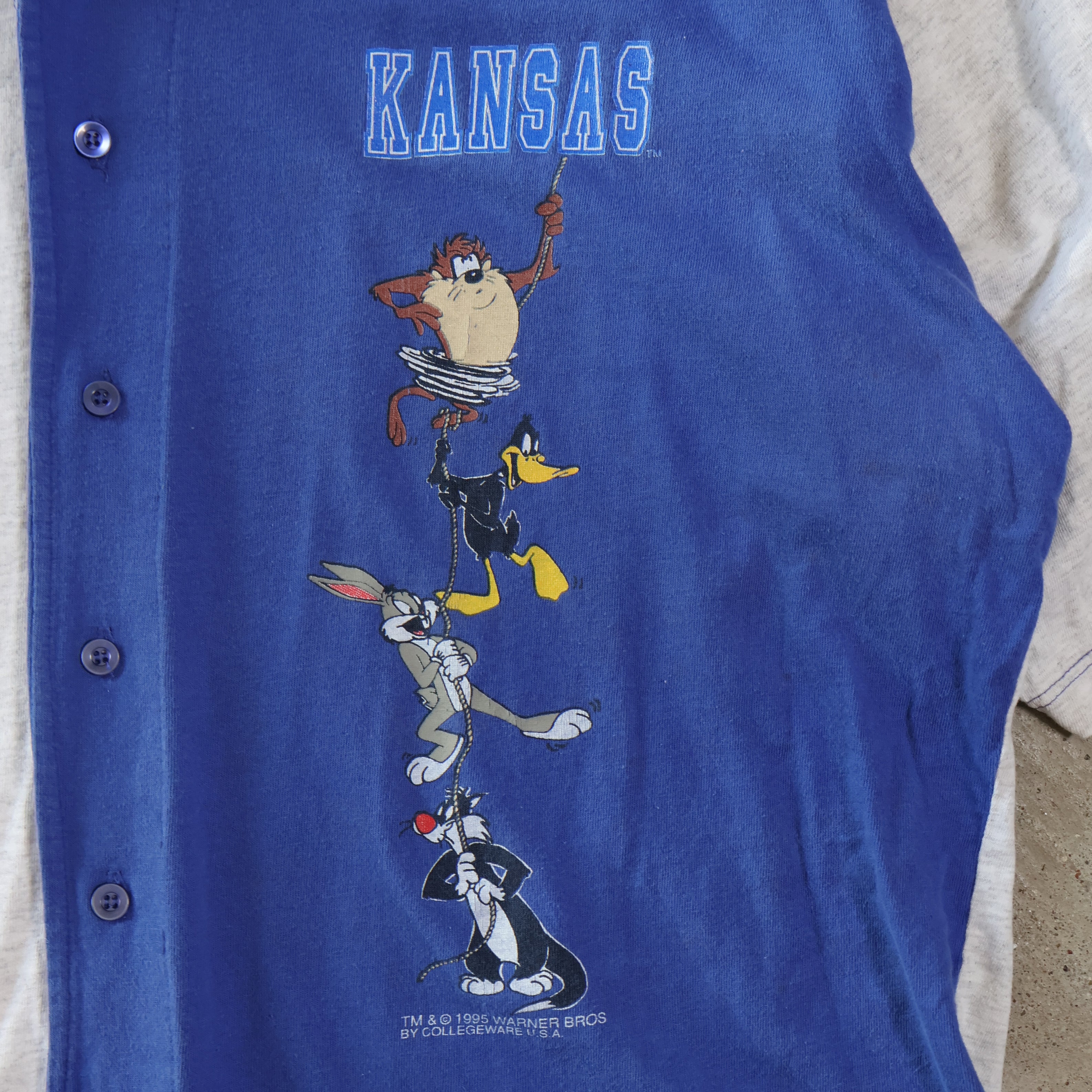 Looney Tunes Kansas Baseball Jersey 1995 (Large)