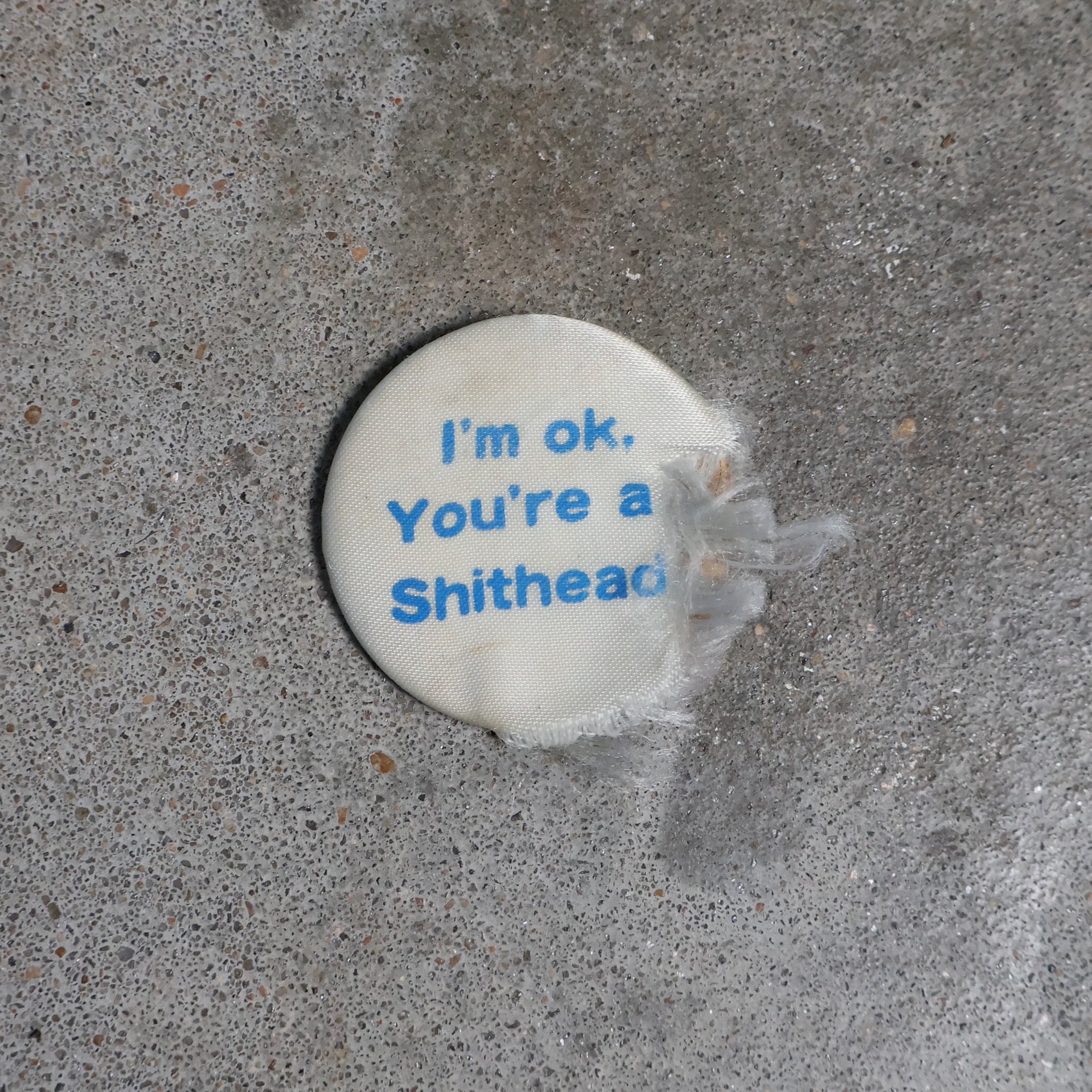 “I’m OK, You’re a Shithead” Pin 90s