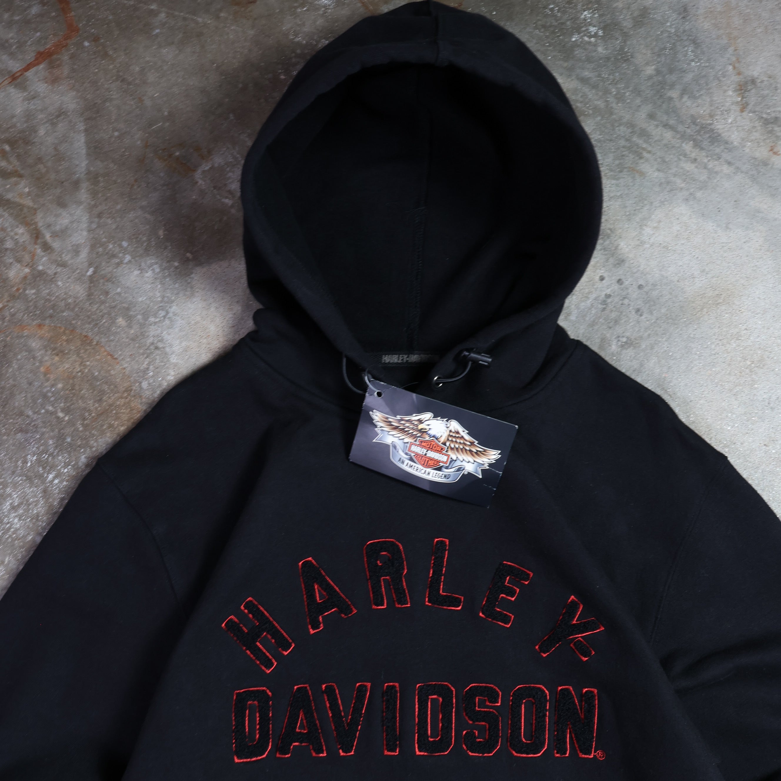 NWT Harley Davidson Spellout Hoodie 00s (Large)